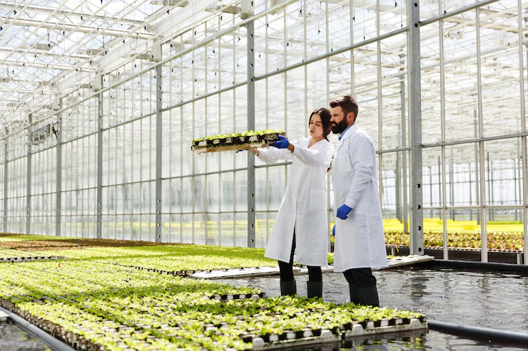 Hydroponic Farming 1