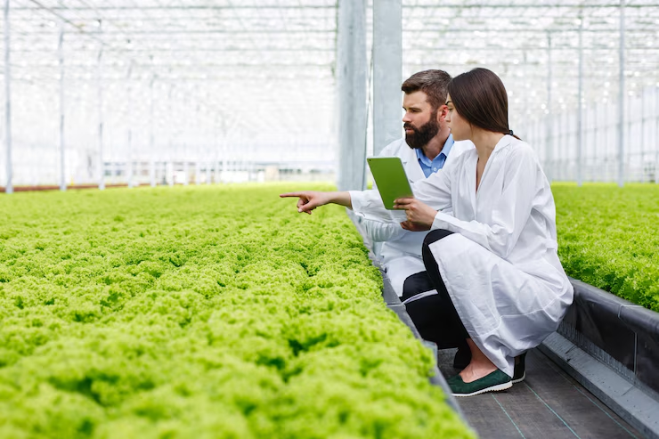 Hydroponic Farming