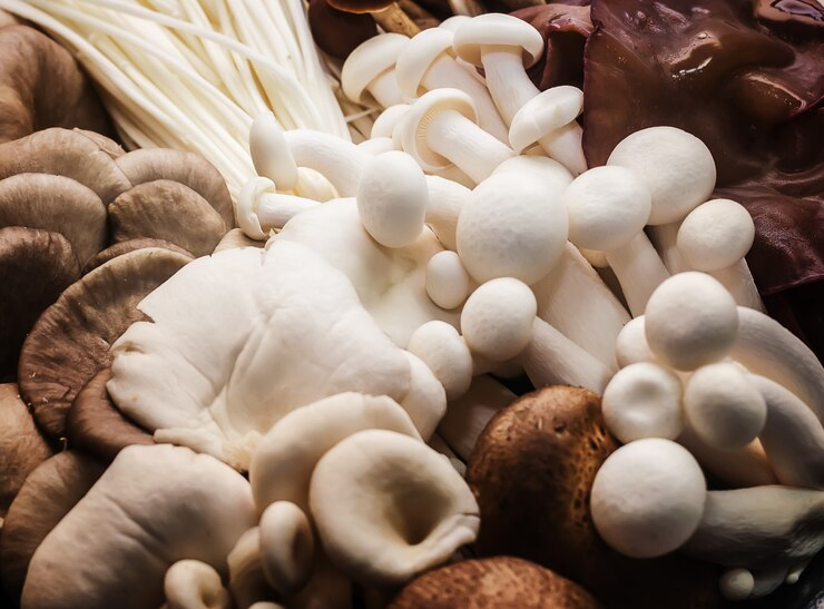 Mushroom 2