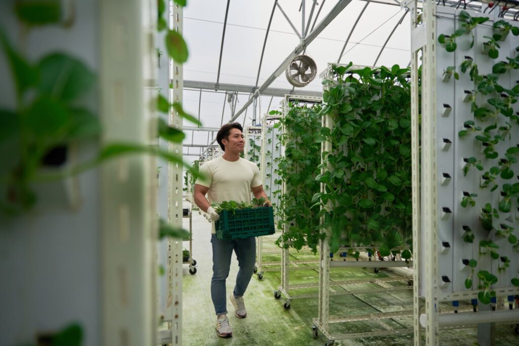 Vertical farming profitability