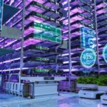 Vertical Farming