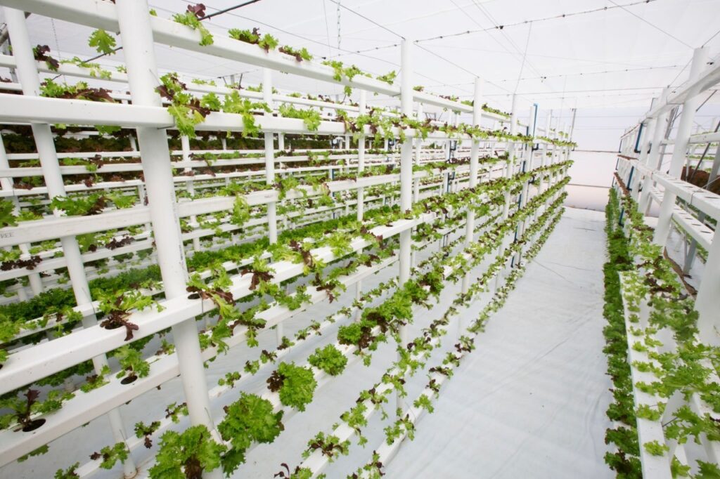 vertical farming cost analysis