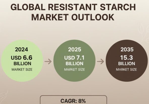 Resistant Starch Market