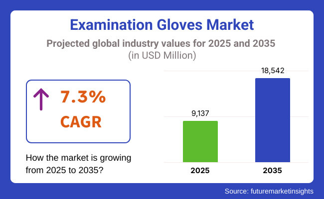 Examination Gloves Market