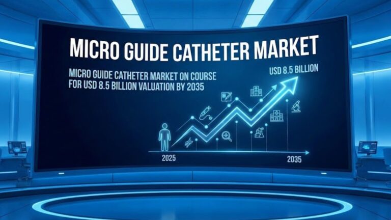 Micro Guide Catheter Market
